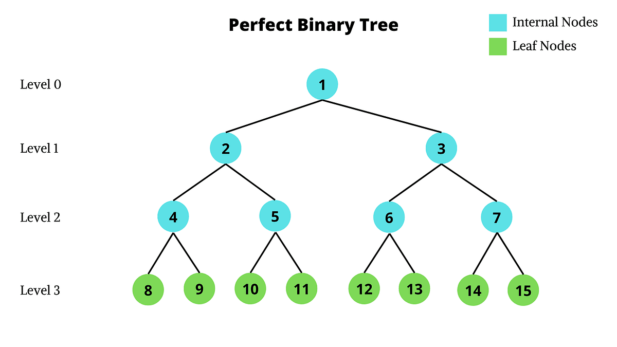 Binary Trees Made Simple: Walk Through Traversal Techniques